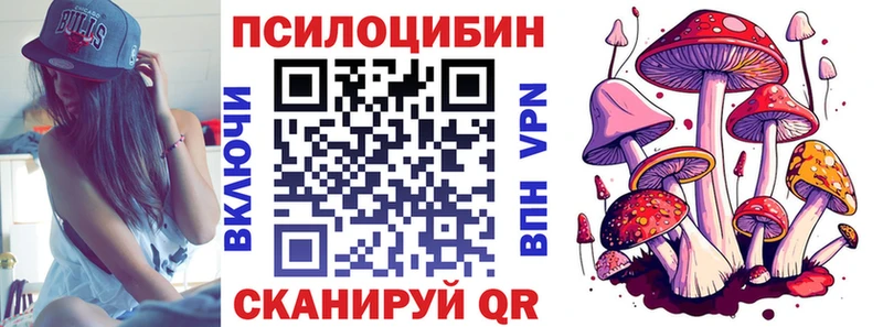 Галлюциногенные грибы MAGIC MUSHROOMS Яхрома